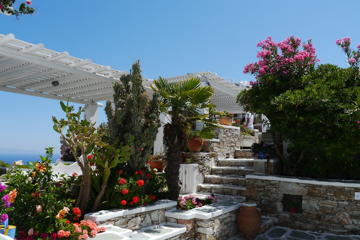 Jardin méditerranéen aménagé à Beaulieu-sur-Mer